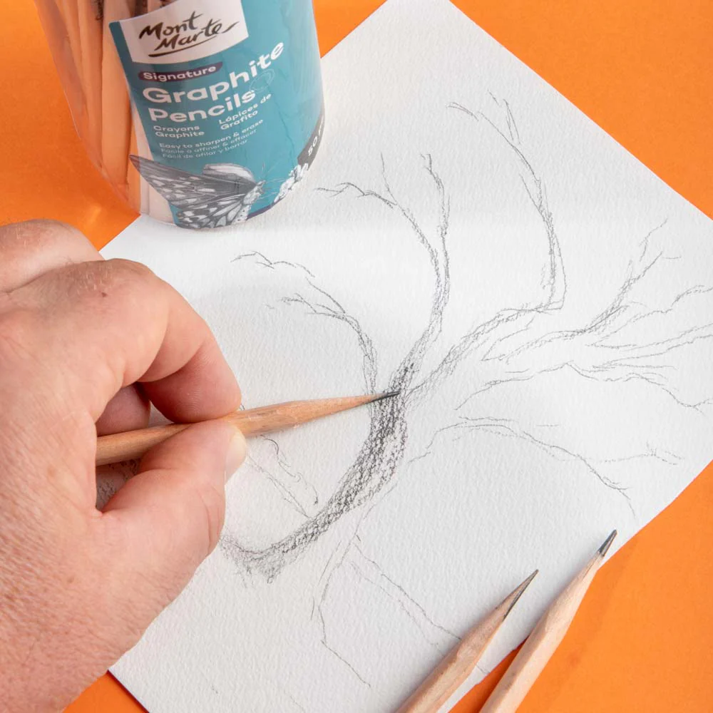 Graphite Pencils with Eraser Ends HB Signature 50pc - Image 6